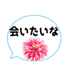 *花* ダリア＆吹き出し Colorful（個別スタンプ：19）