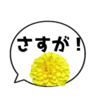 *花* ダリア＆吹き出し Colorful（個別スタンプ：20）