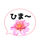 *花* ダリア＆吹き出し Colorful（個別スタンプ：21）