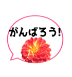 *花* ダリア＆吹き出し Colorful（個別スタンプ：24）