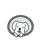 [アレンジ用]窓からお出迎えする犬（個別スタンプ：2）