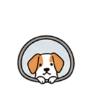 [アレンジ用]窓からお出迎えする犬（個別スタンプ：3）