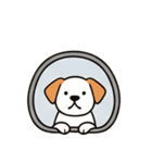 [アレンジ用]窓からお出迎えする犬（個別スタンプ：9）