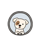 [アレンジ用]窓からお出迎えする犬（個別スタンプ：15）