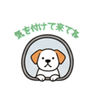 [気を付けて来てね専用]窓からお出迎える犬（個別スタンプ：7）