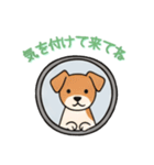 [気を付けて来てね専用]窓からお出迎える犬（個別スタンプ：13）