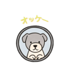 [オッケー専用]窓からお出迎えする犬（個別スタンプ：2）