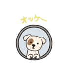 [オッケー専用]窓からお出迎えする犬（個別スタンプ：3）