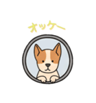 [オッケー専用]窓からお出迎えする犬（個別スタンプ：5）