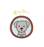 [オッケー専用]窓からお出迎えする犬（個別スタンプ：6）