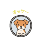 [オッケー専用]窓からお出迎えする犬（個別スタンプ：7）