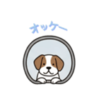[オッケー専用]窓からお出迎えする犬（個別スタンプ：8）