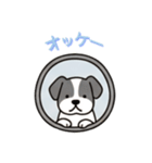 [オッケー専用]窓からお出迎えする犬（個別スタンプ：9）