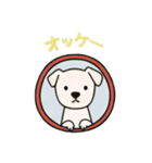 [オッケー専用]窓からお出迎えする犬（個別スタンプ：10）