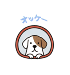 [オッケー専用]窓からお出迎えする犬（個別スタンプ：11）
