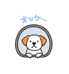 [オッケー専用]窓からお出迎えする犬（個別スタンプ：13）