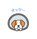 [オッケー専用]窓からお出迎えする犬（個別スタンプ：14）