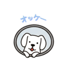 [オッケー専用]窓からお出迎えする犬（個別スタンプ：15）