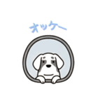 [オッケー専用]窓からお出迎えする犬（個別スタンプ：16）