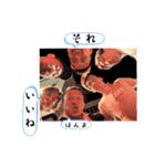 呑む、打つ、洗う、食う（個別スタンプ：34）
