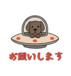[お願いします専用]UFOで宇宙犬1（個別スタンプ：10）