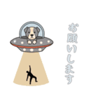 [お願いします専用]UFOで宇宙犬1（個別スタンプ：14）