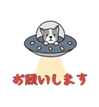 [お願いします専用]UFOで宇宙犬1（個別スタンプ：16）