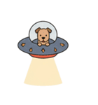 [アレンジ用]UFOで宇宙犬（個別スタンプ：3）