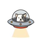 [アレンジ用]UFOで宇宙犬（個別スタンプ：4）