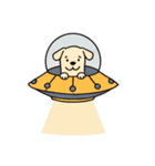 [アレンジ用]UFOで宇宙犬（個別スタンプ：10）