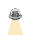 [アレンジ用]UFOで宇宙犬（個別スタンプ：15）