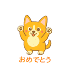 癒しのかわいいコーギー！（個別スタンプ：3）