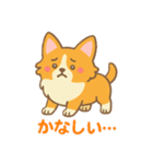 癒しのかわいいコーギー！（個別スタンプ：5）