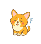 癒しのかわいいコーギー！（個別スタンプ：7）