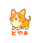 癒しのかわいいコーギー！（個別スタンプ：16）