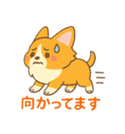 癒しのかわいいコーギー！（個別スタンプ：21）