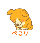 癒しのかわいいコーギー！（個別スタンプ：22）