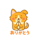 癒しのかわいいコーギー！（個別スタンプ：23）