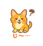 癒しのかわいいコーギー！（個別スタンプ：24）