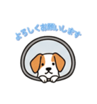 [よろしくお願いします専用]窓から出迎え犬（個別スタンプ：6）