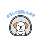[よろしくお願いします専用]窓から出迎え犬（個別スタンプ：16）