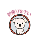 [お帰りなさい専用]窓からお出迎えする犬（個別スタンプ：1）