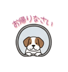 [お帰りなさい専用]窓からお出迎えする犬（個別スタンプ：2）