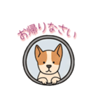 [お帰りなさい専用]窓からお出迎えする犬（個別スタンプ：6）