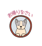 [お帰りなさい専用]窓からお出迎えする犬（個別スタンプ：7）