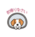 [お帰りなさい専用]窓からお出迎えする犬（個別スタンプ：8）