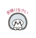 [お帰りなさい専用]窓からお出迎えする犬（個別スタンプ：10）