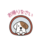 [お帰りなさい専用]窓からお出迎えする犬（個別スタンプ：12）