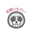 [お帰りなさい専用]窓からお出迎えする犬（個別スタンプ：13）