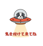 [気を付けて来てね専用]UFOで宇宙犬1（個別スタンプ：4）